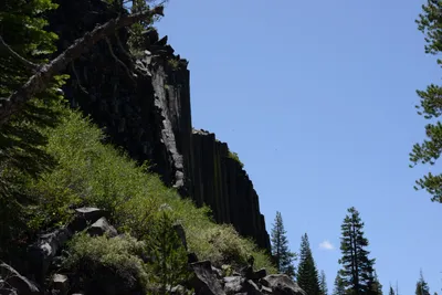 DSC_3667 (Large).JPG